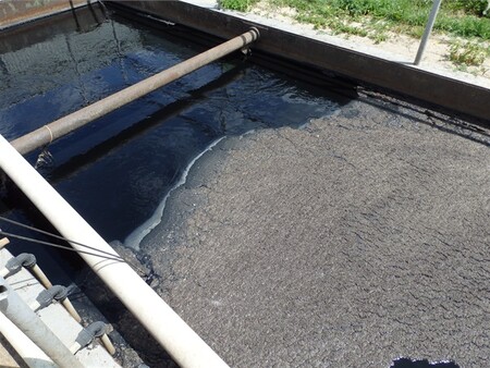 Na snímku ČOV - odumřelý kal s odpadními vodami v aktivaci. Masokombinát podle inspekce v rozporu s povolením vypouštěl odpadní vody do podzemních vod a bez povolení odebíral povrchové vody.