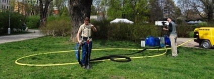 foto:  Veřejná zeleň města Brna