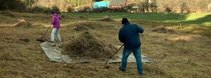 ČSOP Jižní Čechy Foto: Mezinárodní ochranářská skupina JARO