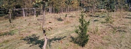 Foto: ČSOP