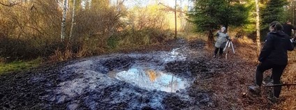 Dobrovolnický den Na skřivánku Foto: Jan Moravec ČSOP