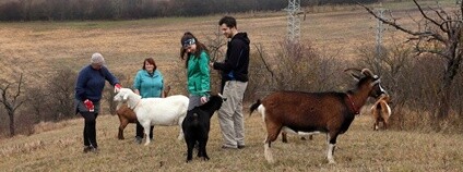 ČSOP Morava Foto: Mezinárodní ochranářská skupina JARO