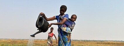 Farmářky v Zambii Foto: Tereza Hronova Člověk v tísni