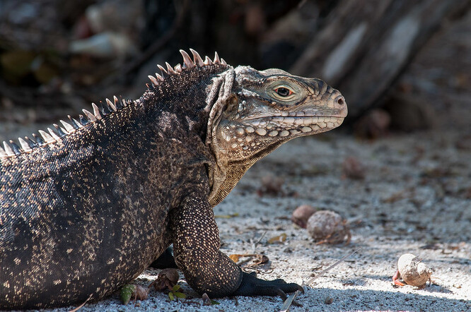 Ilustrační foto Ilustrační foto