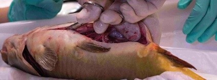 Foto: Taťána Typltová ú ZŠ Inspíria