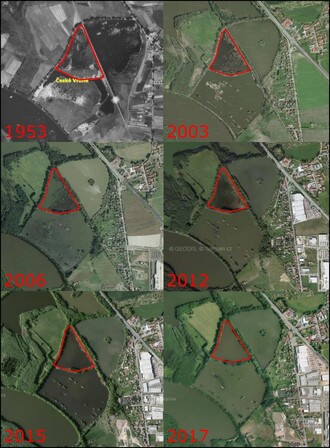 Obr. 3: Smutný foto příběh úbytku litorálních porostů na rybníku Bažina (červeně zvýrazněný rybník uprostřed) za posledních 70 let. Nejmarkantnější pokles je vidět za posledních cca 8 let. Vytvořil V. Kolář, mapy převzaty z www.kontaminace.cenia.cz (měřítko 600m) a www.mapy.cz (měřítko 500m).