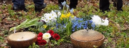 Les vzpomínek na pražském Ďáblickém hřbitově Foto: Kornélia Kolářová Takácsová Wikimeda Commons