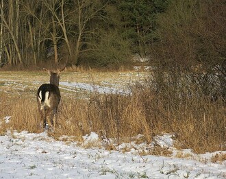 Díky efektivní spolupráci už je zase v pohodě a volný