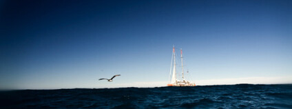 Každých šest až sedm měsíců jsou k dispozici průběžné výsledky. Foto: V.Hilaire / Fonds Tara