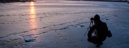foto:  David Marcu / Usplash