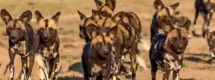 foto: LATEST NEWS 24h / youtube.com