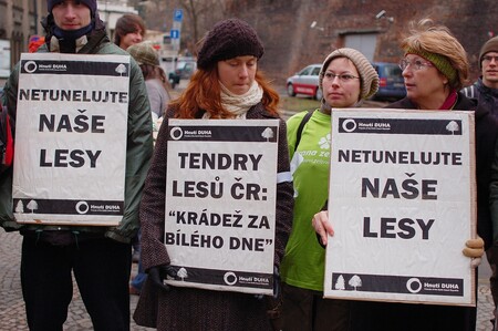 Hnutí Duha minulý týden před vládou protestovalo proti "tunelování" lesů.