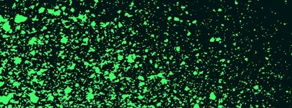 Stříkanec zelené barva Foto: Depositphotos