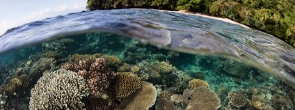 Foto: ead72 / Depositphotos