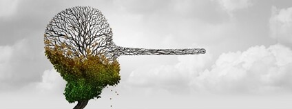 Lež Foto: Depositphotos