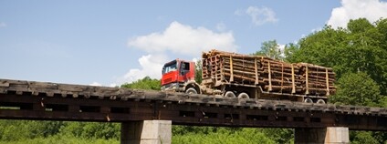 Přeprava dřeva po mostě v Rusku Foto: Depositphotos