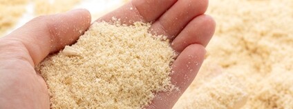 Hobliny v dlani Foto: Depositphotos