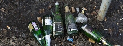 Odhozené lahve od sektu Foto: Depositphotos