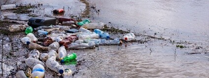 Plastové lahve u břehu Foto: Depositphotos