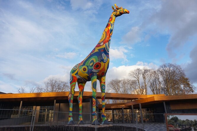 Zoo v Kyjevě na starším snímku.