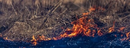 Foto: Depositphotos