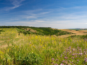 Foto: Depositphotos