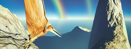 Pterodaktyl Foto: Depositphotos