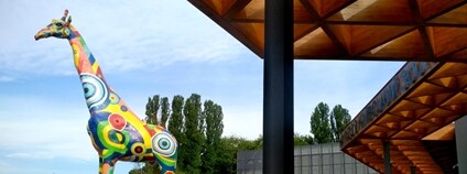 Zoo v Kyjevě Foto: Depositphotos