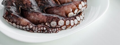 Foto: Depositphotos