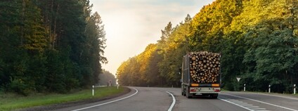 Přeprava dřeva Foto: Depositphotos