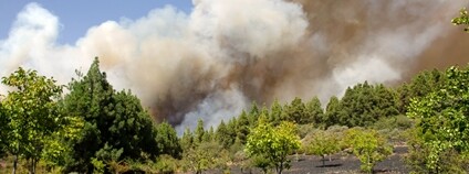 Požár na Kanárských ostrovech Foto: Depositphotos