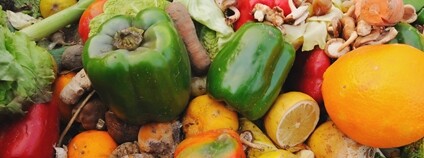 Zkažená zelenina a ovoce Foto: Depositphotos