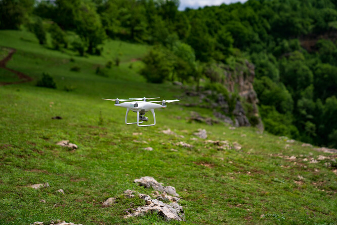 Pořádnou neplechu dělá pořizování záběrů s pomocí dronů, které zvířata plaší.