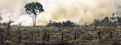 Odlesňování amazonského pralesa Foto: Depositphotos