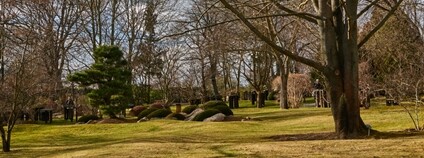 Botanická zahrada v Praze v zimě Foto: Depositphotos