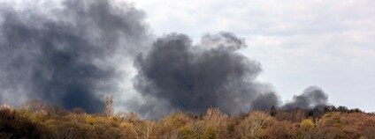 Foto: Depositphotos