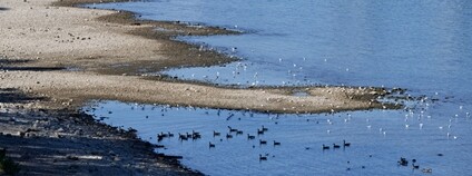 Foto: Depositphotos