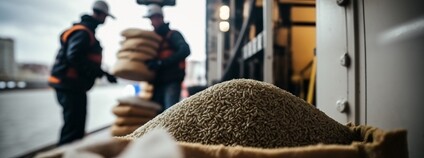 Obchod s obilím Foto: Depositphotos