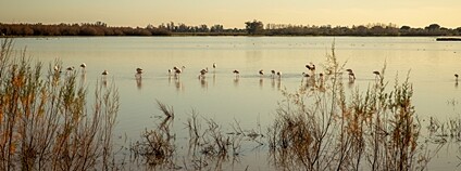 El Rocio Lagoon Foto: Depositphotos