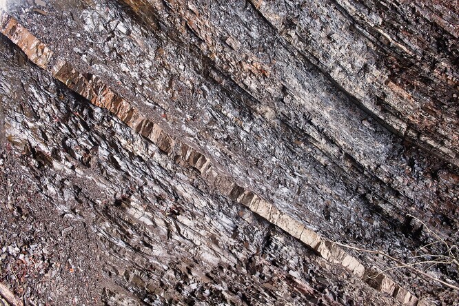 Díky stratotypům mohou experti studovat, jak vypadaly dávné ekosystémy, porovnávat změny v biologické rozmanitosti nebo rekonstruovat průběh klimatických změn. Vědci tak vědí, že porovnávají stejně staré geologické vrstvy, druhy či prostředí. Ilustrační foto