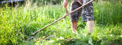 Foto: Fotopogledi / Depositphotos