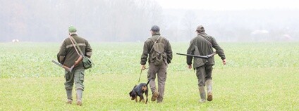 Lovci a lovecký pes Foto: Depositphotos