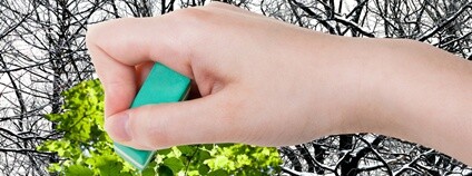 Foto: Depositphotos
