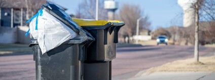 Popelnice na chodníku Foto: Depositphotos