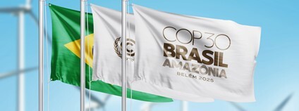 COP30 Foto: Depositphotos