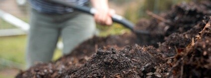 Kompost Foto: Depositphotos