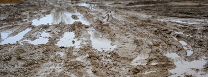 Bahno Foto: Depositphotos