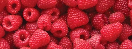 Maliny Foto: Depositphotos