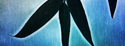 Foto: Nick Kenrick / Flickr