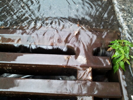 Pokud budou chtít majitelé používat dešťovou vodu ke splachování záchodů napojených na kanalizační síť, budou se muset domluvit s provozovateli kanalizace na podmínkách platby za stočné.